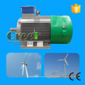 Permanent Magnet Generator for Wind and Hydro Project